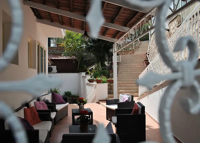 Fiorita סורנטו